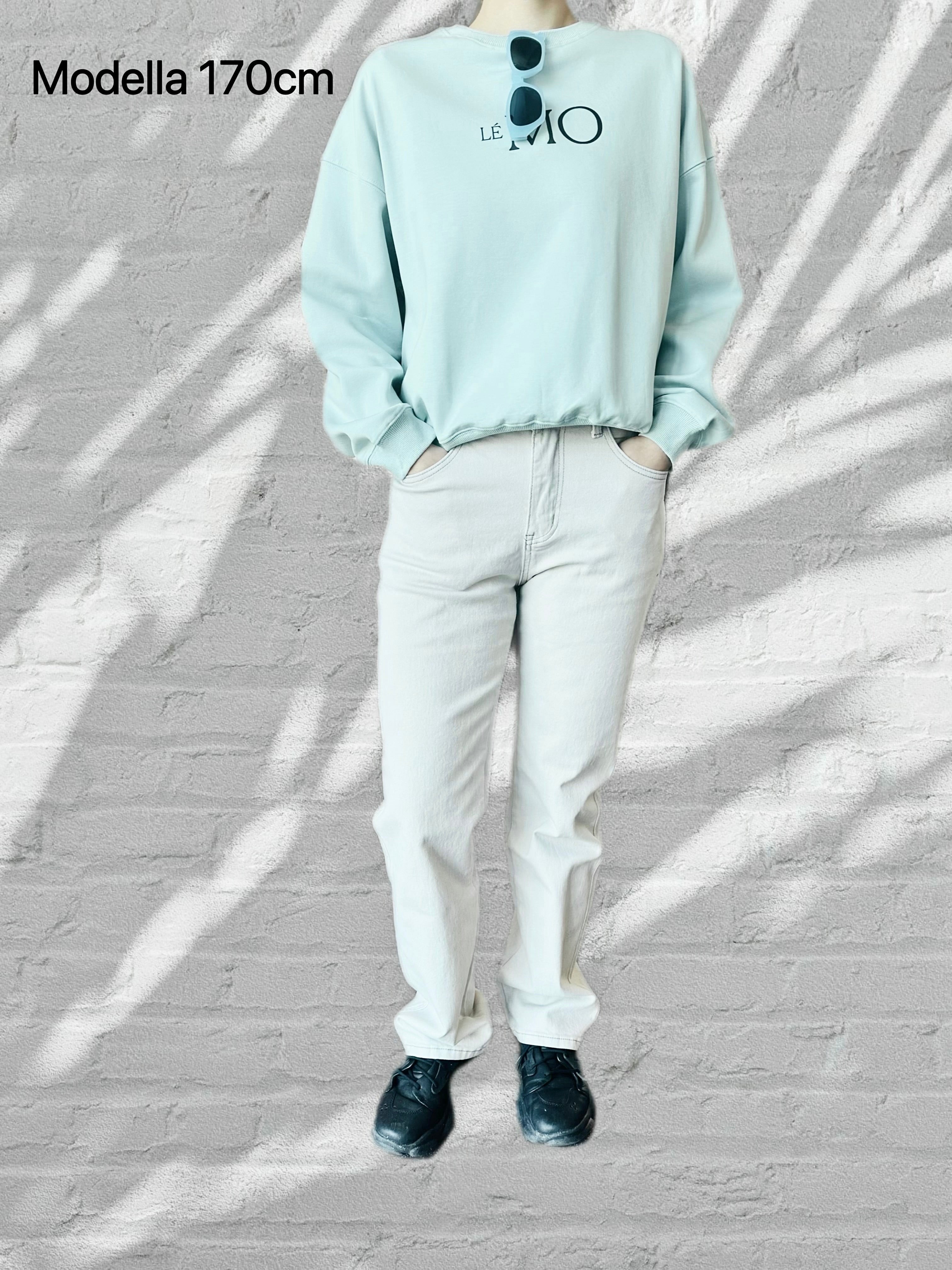 Le-Mo Sweater- Mint Green Sweatshirt